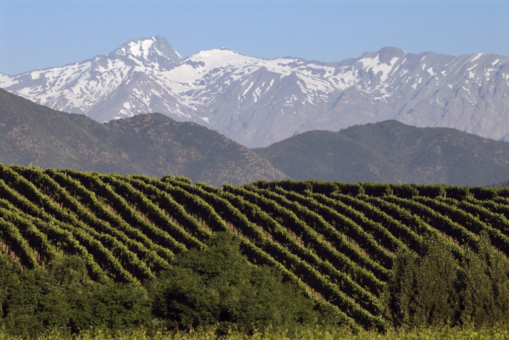 Chile, Colchagua, Casa Silva