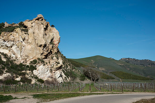 USA, California, Santa Maria Valley. Au Bon Climat winery at Bien Nacido Vineyard