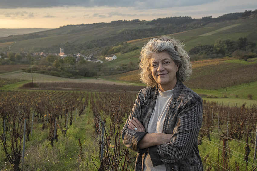 France, Bourgogne, Chablis, Préhy. Clotilde Davenne in her vineyard