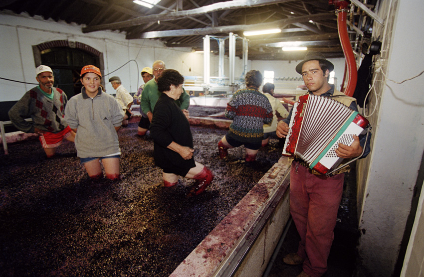 Quinta do Noval, Douro