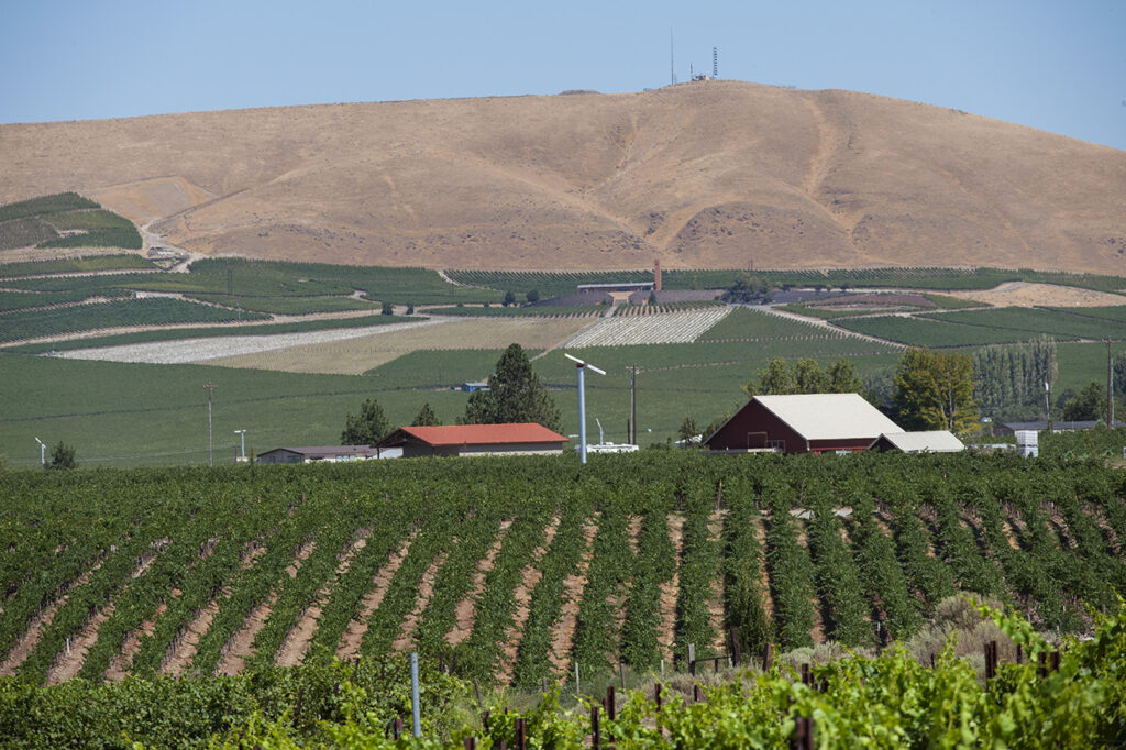USA, Washington, Red Mountain. Ciel du Cheval, Kiona, Col Solare and Hedges Vineyards