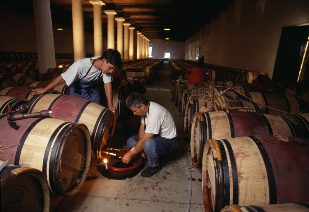 Château Margaux, cellar hands in the first-year cellar