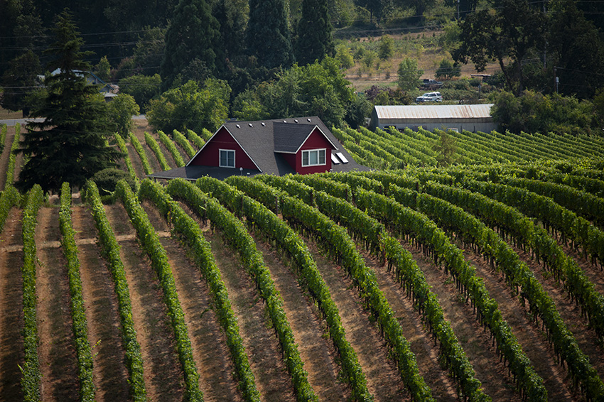 USA, Oregon, Willamette Valley, Dundee Hills. Sokol Blosser